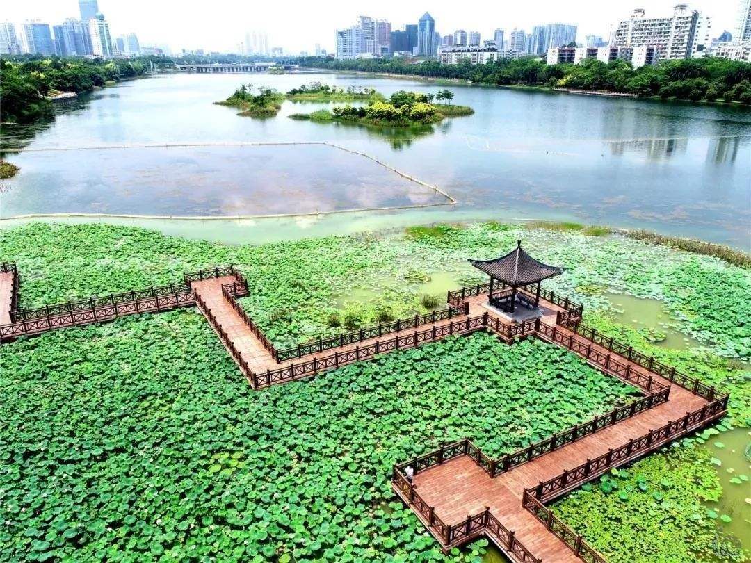 ​南湖公园