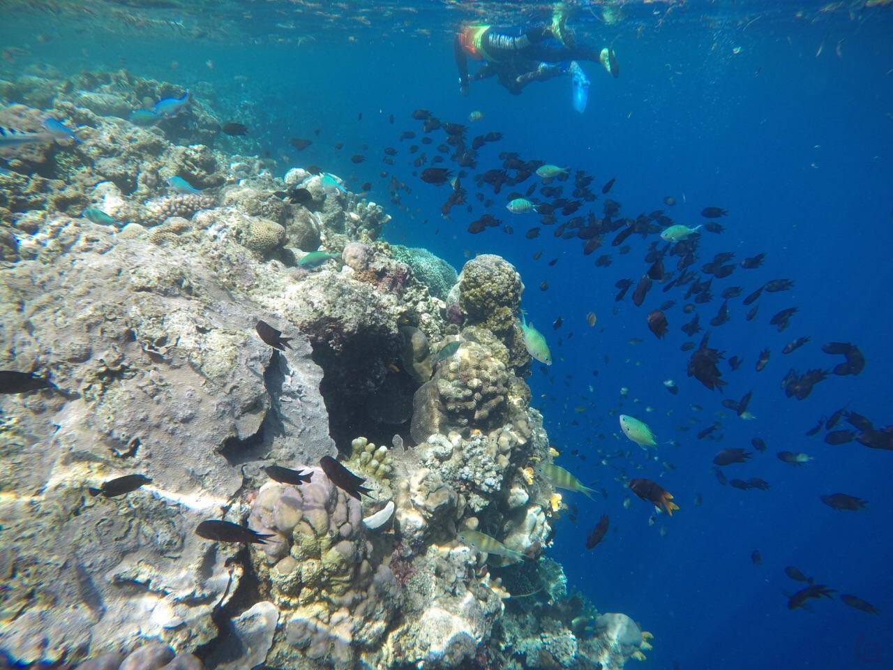 布纳肯国家海洋公园