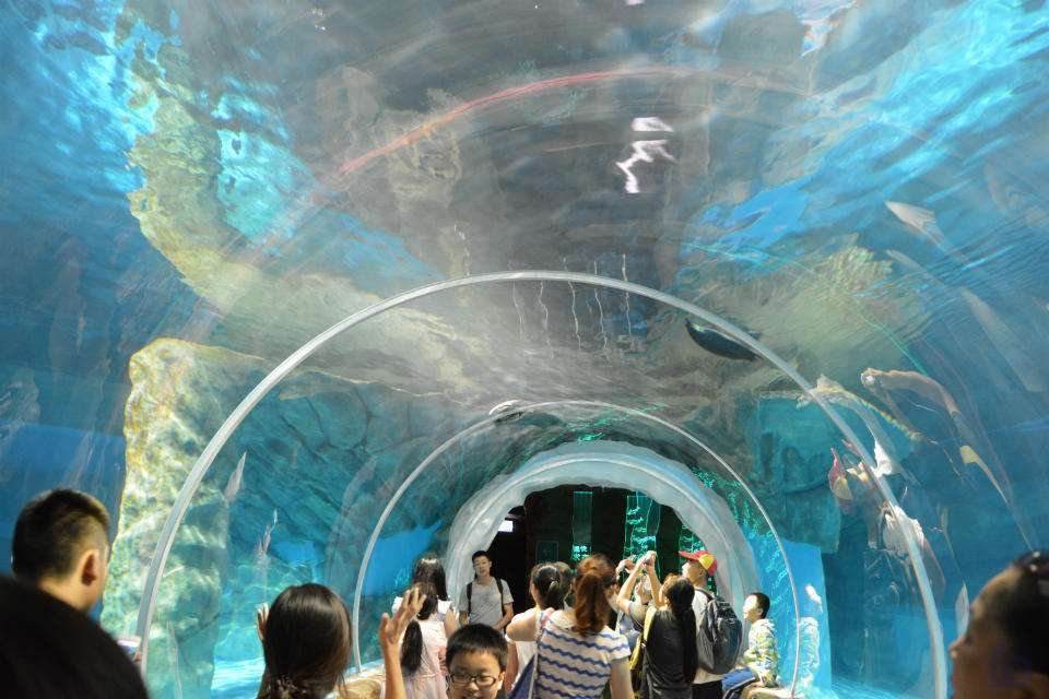 马尼拉海洋公园
