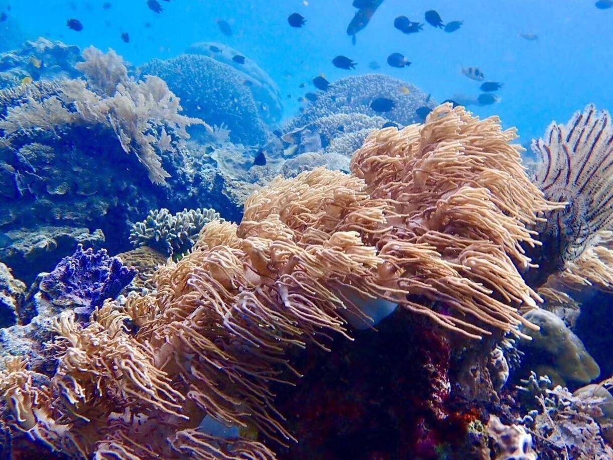 布纳肯国家海洋公园